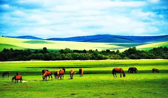 内蒙古风情,演员深情演绎草原故事